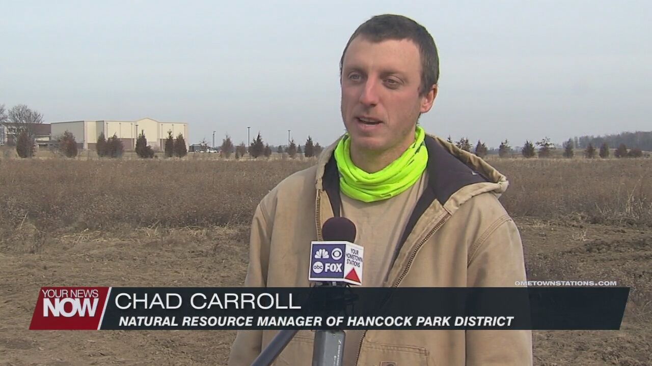 New wetlands will improve water and wildlife habitats in Hancock County